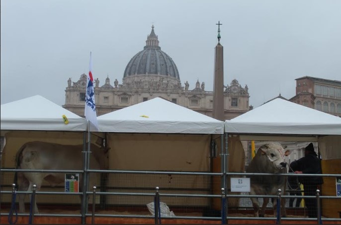 immagine intestazione