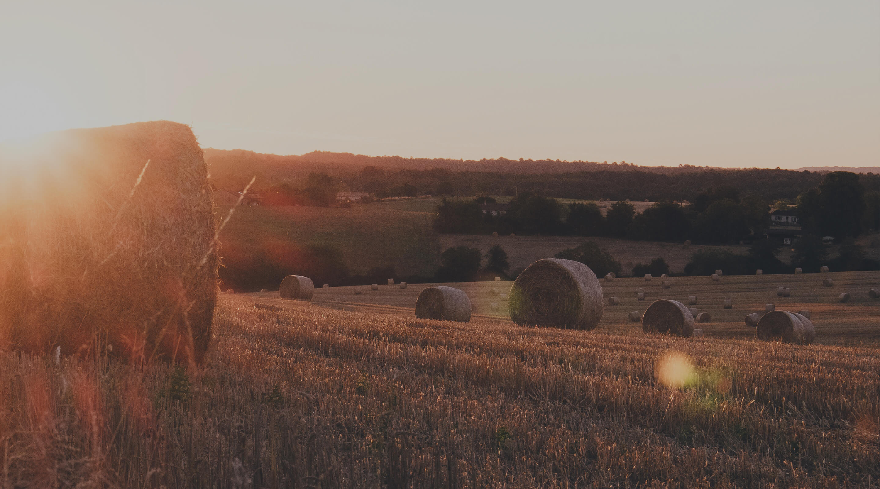 Contatta i nostri uffici
