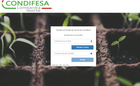 immagine intestazione