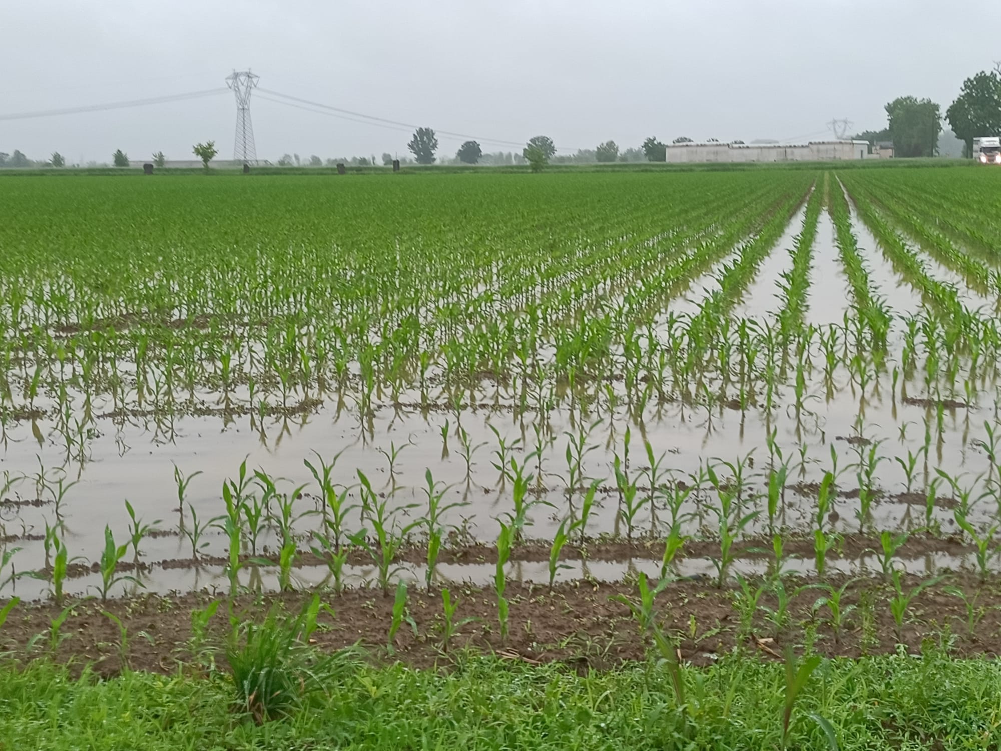 Assicurazioni agricole, sbloccati i fondi
