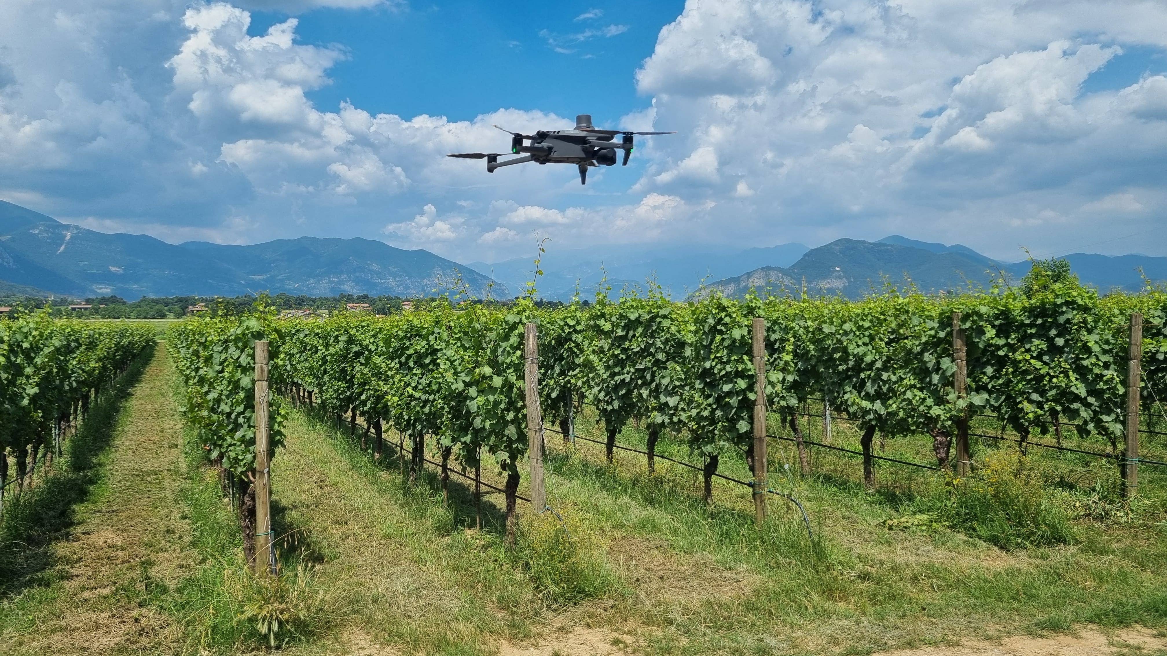 Vineagest, “smart agriculture” per la viticoltura