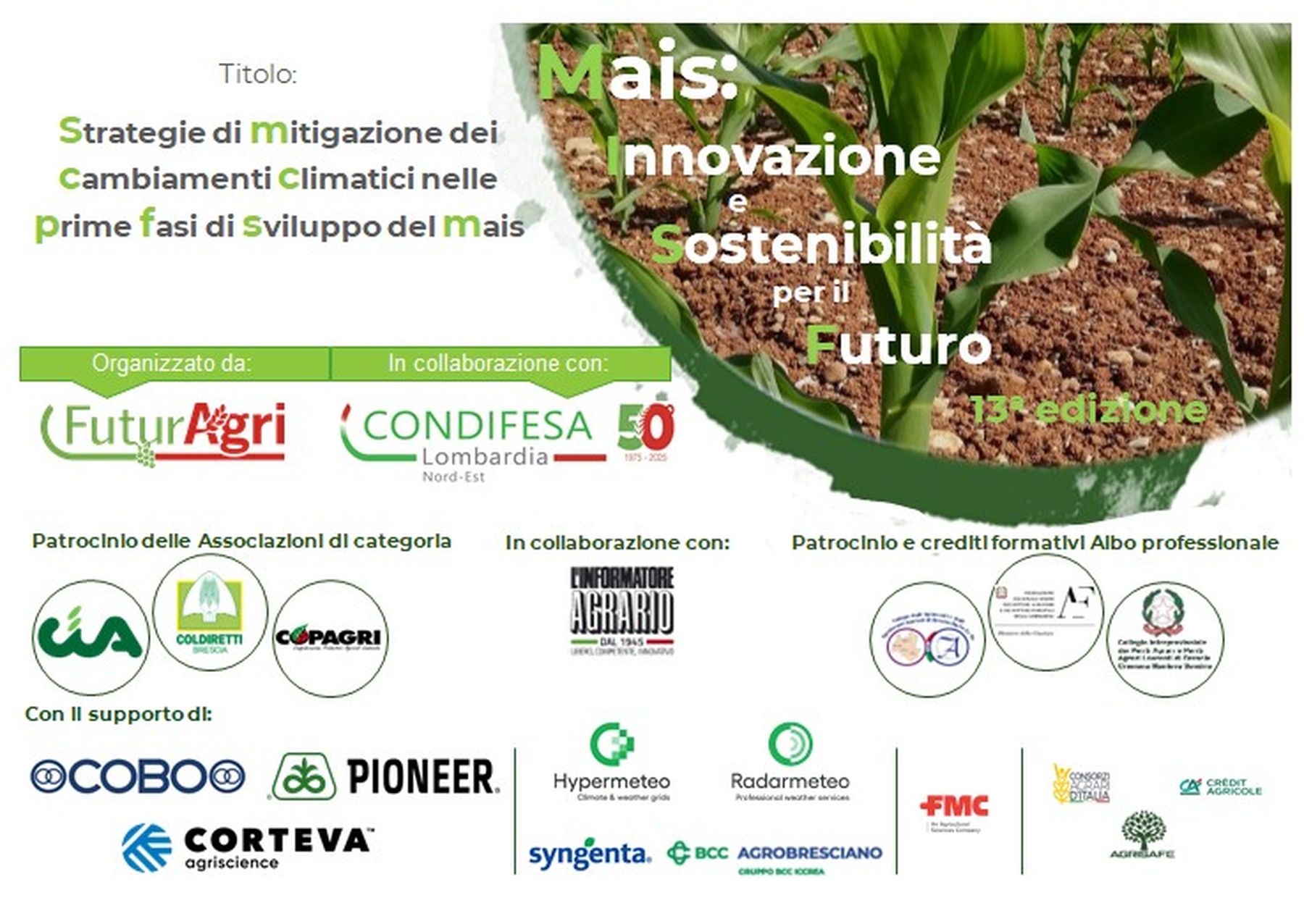 immagine intestazione