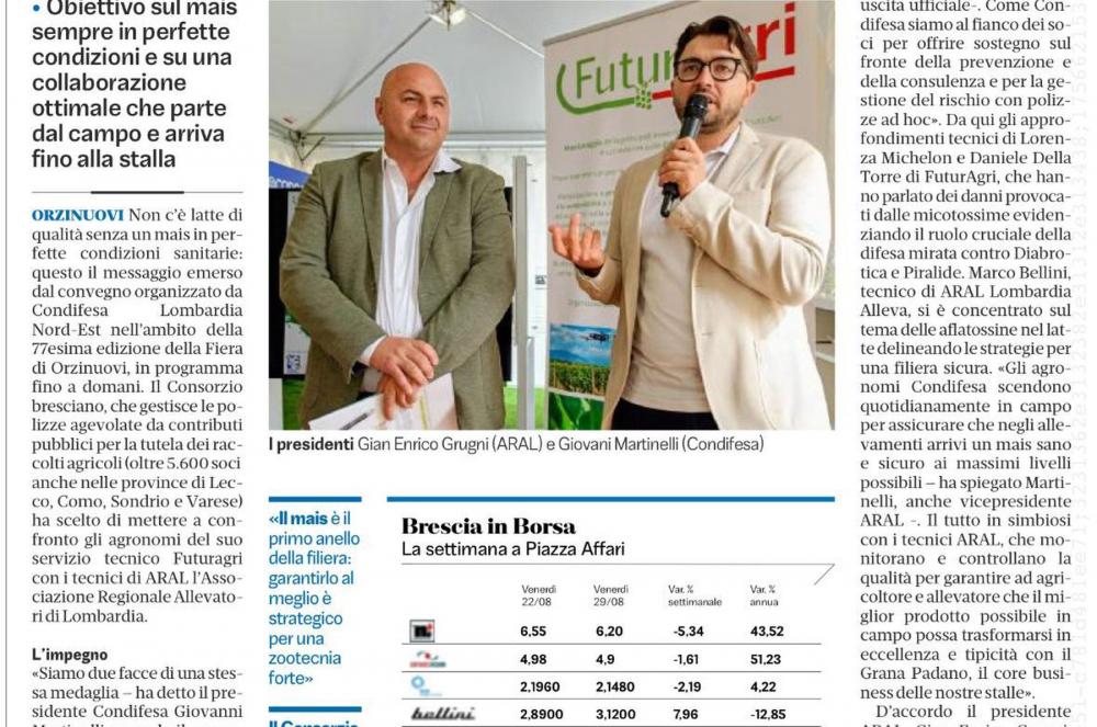 immagine intestazione