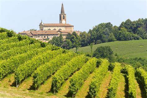 Aperta la campagna assicurativa 2025