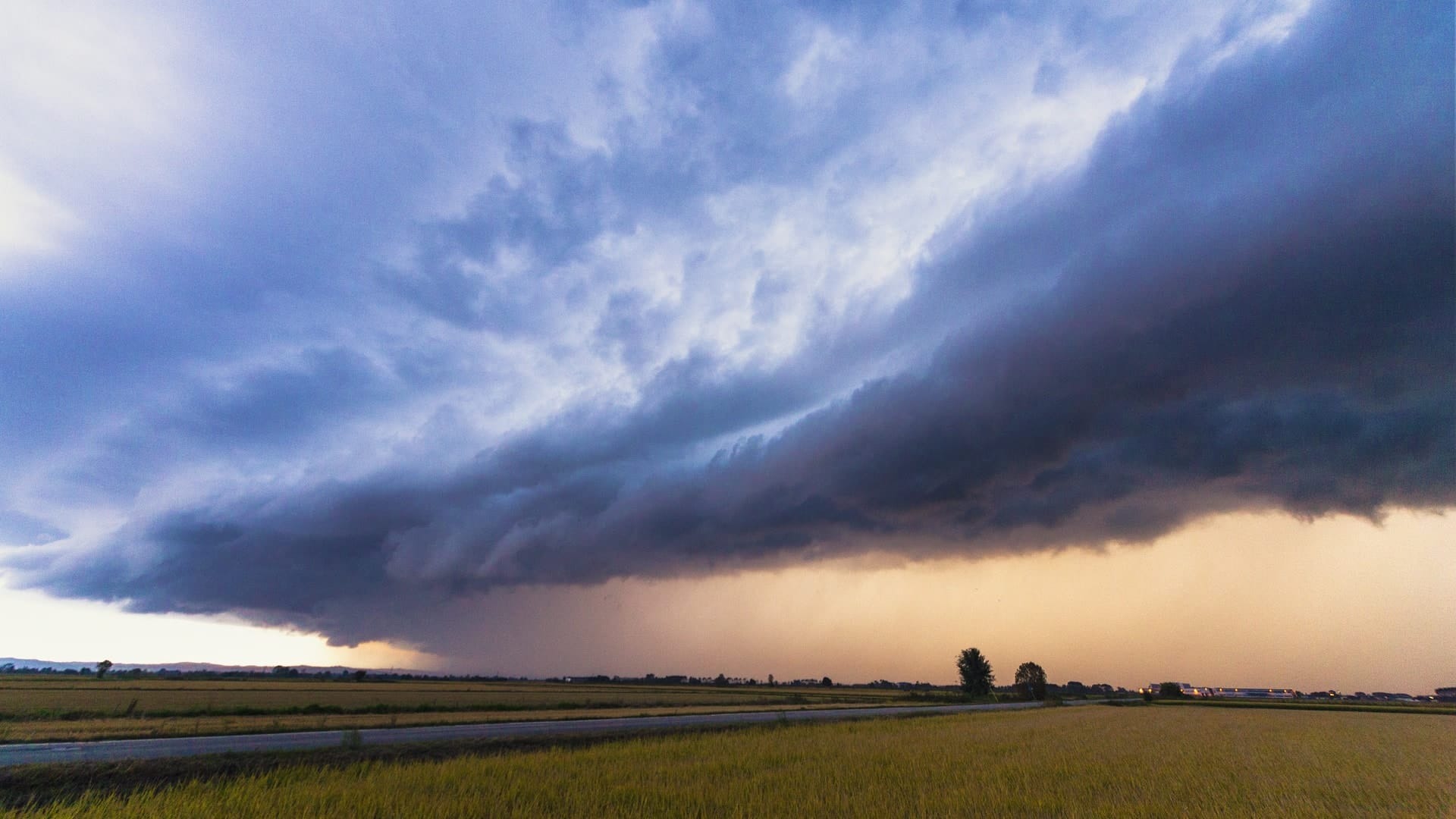 immagine intestazione