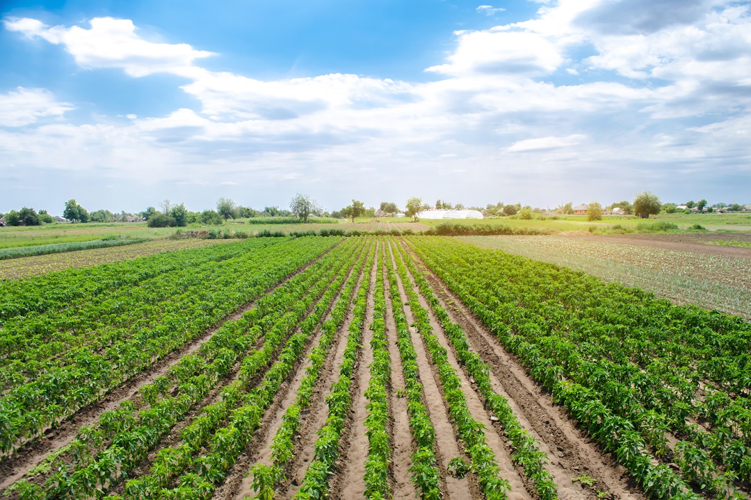 Regione Lombardia, 175 milioni per “investimenti