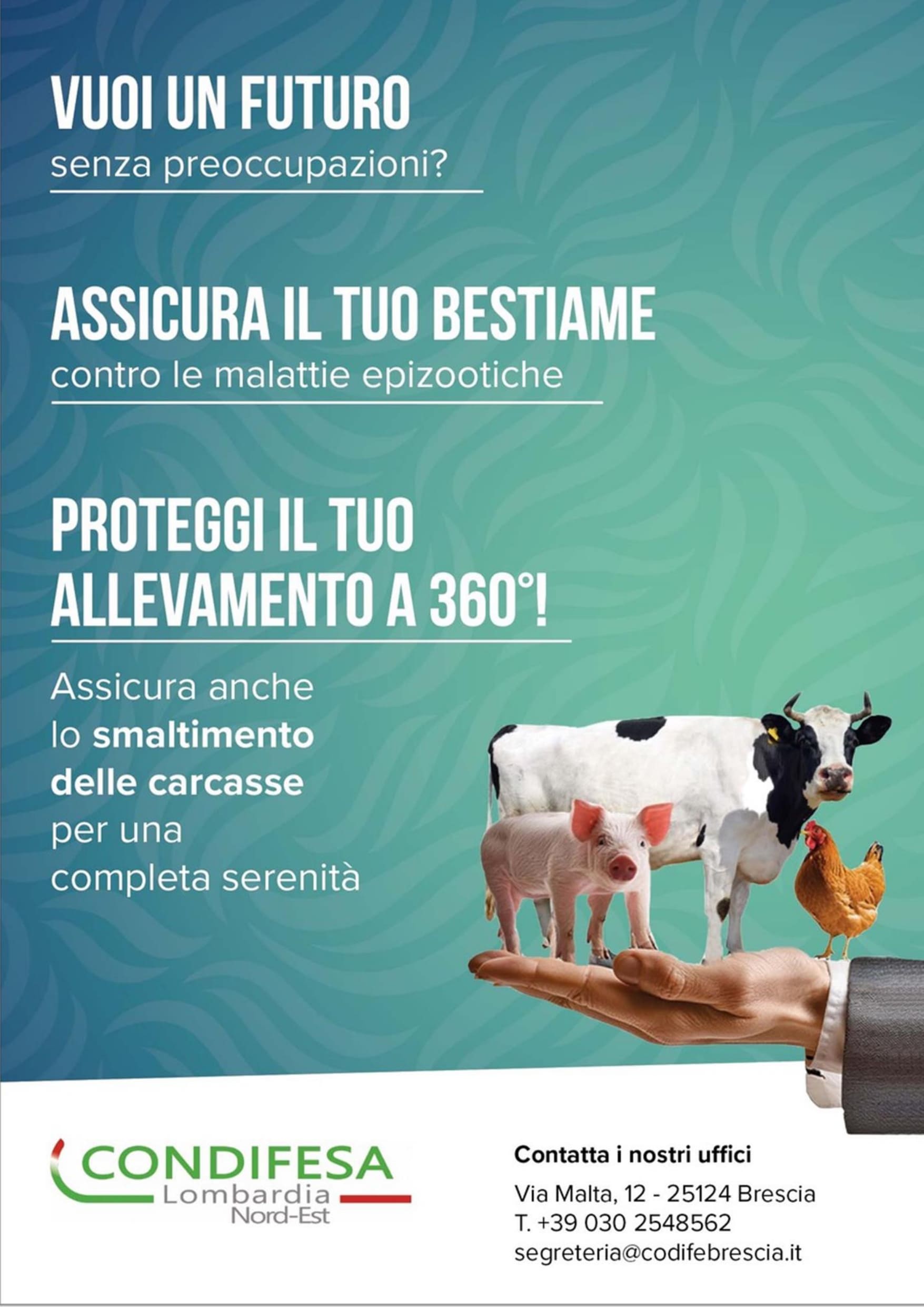 immagine intestazione